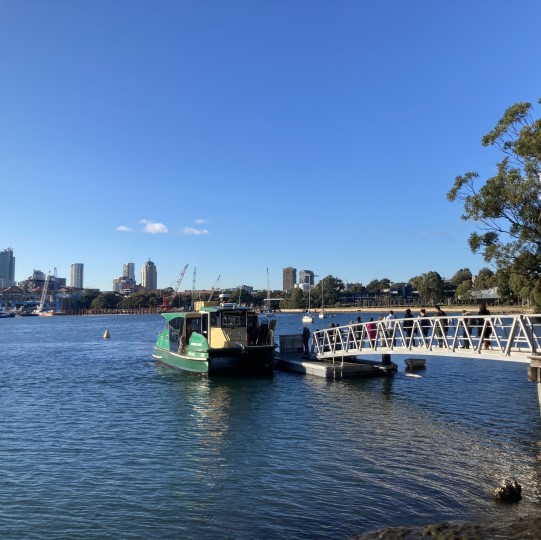 Save the Blackwattle Ferry